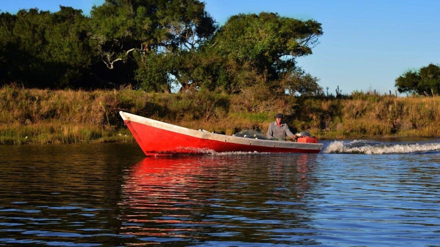 A person is steering a red motorboat on a calm river surrounded by grassy banks and trees under a clear blue sky.