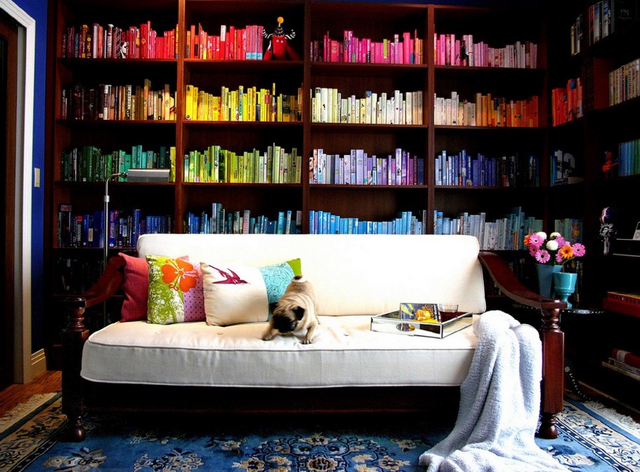 A white couch with colorful pillows sits in front of a big library organized by color. A small dog is on the couch. A blanket and a tray with a drink are on the right end.