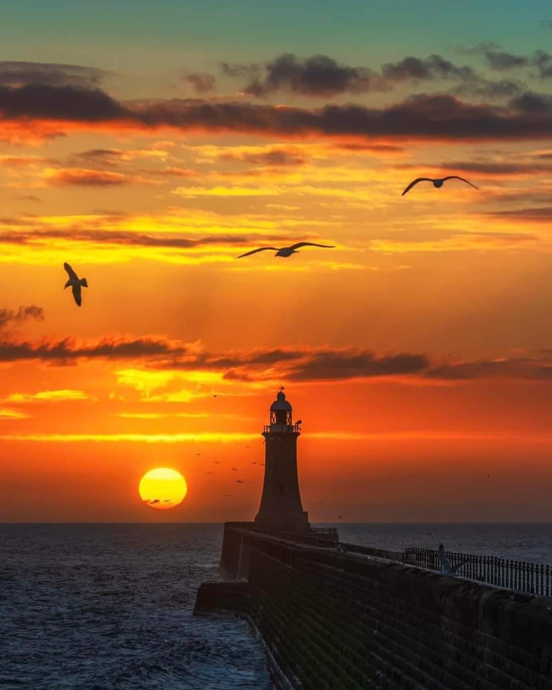A lighthouse on a pier is silhouetted against an orange and yellow sunset, making you think about the beauty of nature, with a few birds flying in the sky.