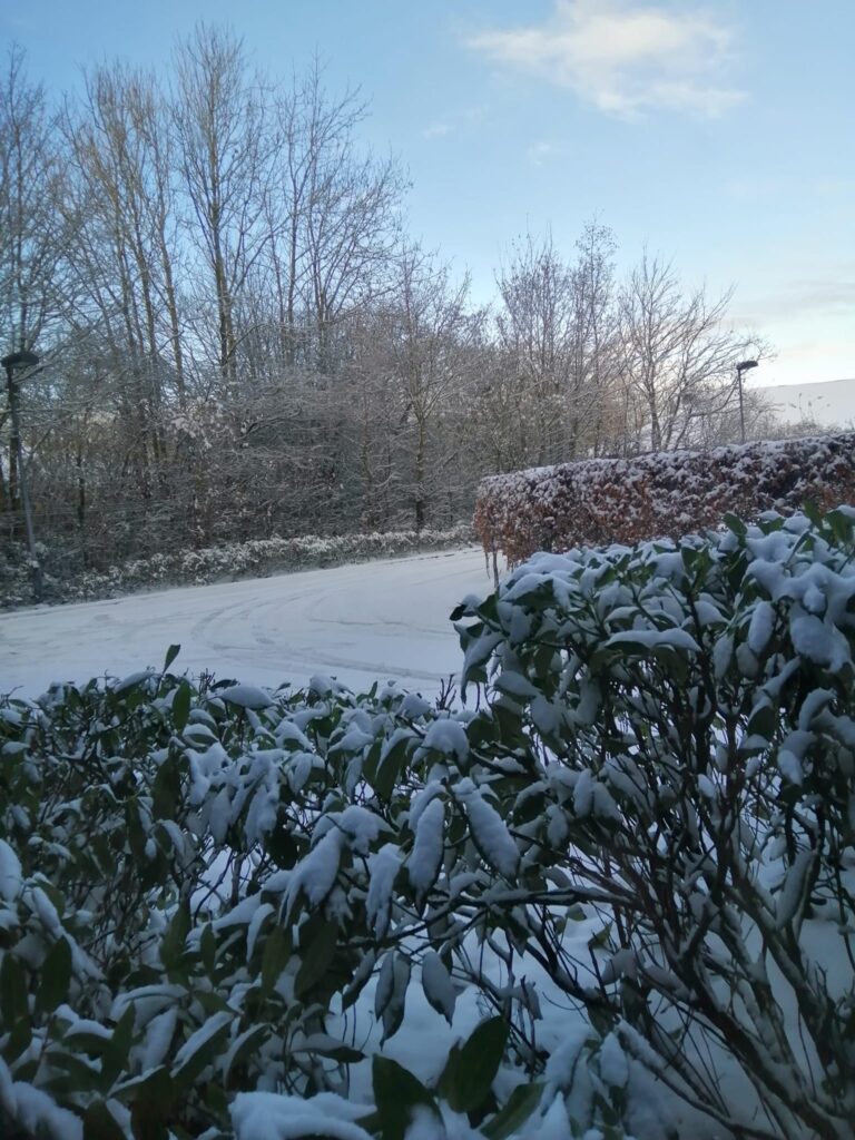 A snow-covered landscape with trees, bushes, and a pathway blanketed in fresh snow. The sky is clear with a few clouds, and tire tracks are visible on the pathway. It makes you think of serene moments to thank nature for its quiet beauty.