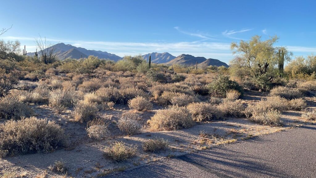 A dry, desert landscape with sparse bushes, cacti, and trees under a clear blue sky makes one think of tranquility. Mountains are visible in the background.