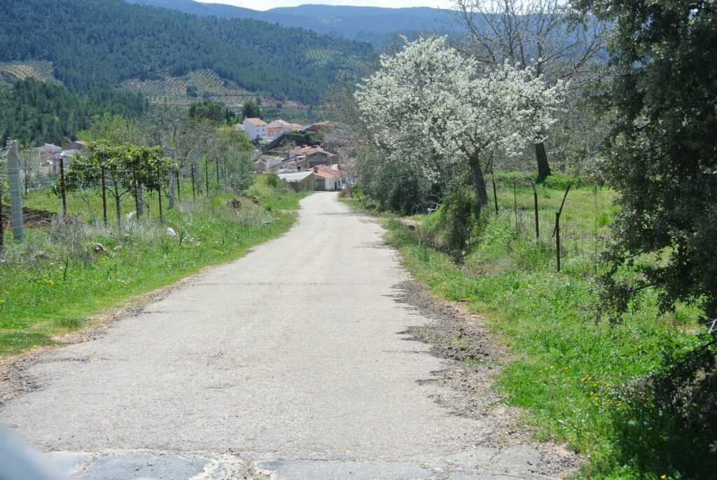 A rural road leads to a village with houses nestled among the lush green hills of Spain. Blossoming trees, reminiscent of tales from Robin Hood's era, line the path under a clear blue sky.