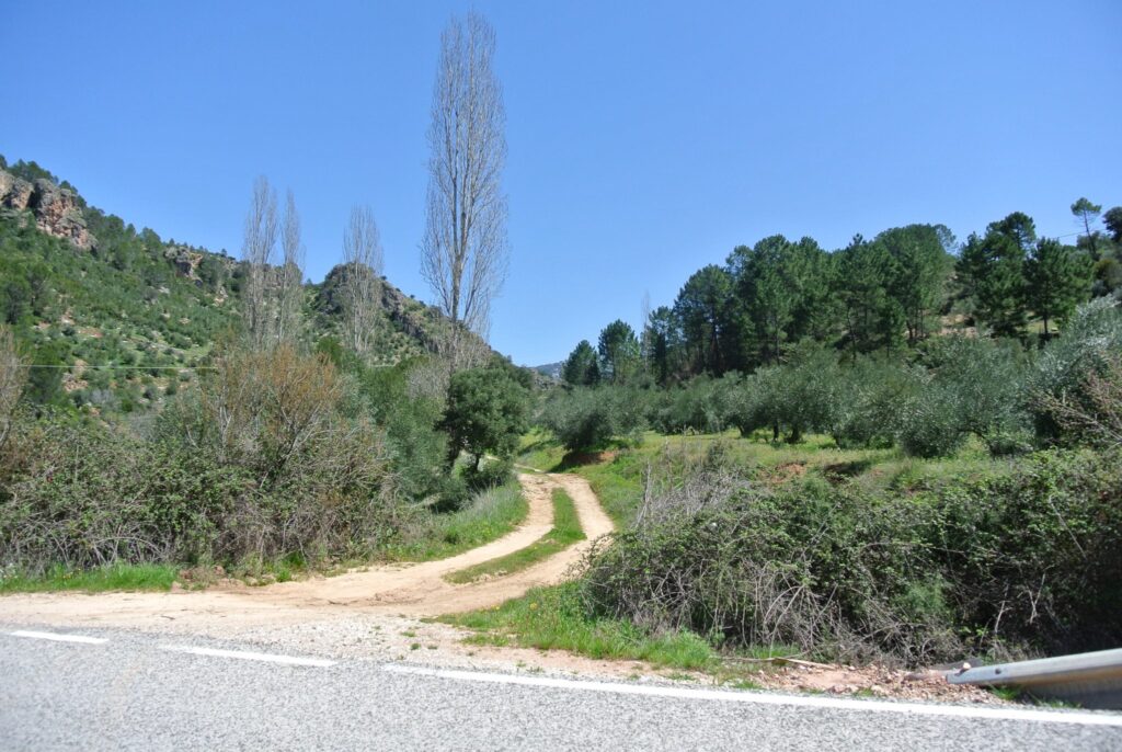A dirt path winds into a green, hilly landscape, reminiscent of Robin Hood's adventures, with trees swaying under the clear blue sky.