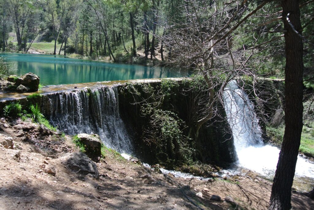 A tranquil waterfall spills over a small dam into a clear pond, embraced by lush green trees reminiscent of Robin Hood’s forest hideaway.