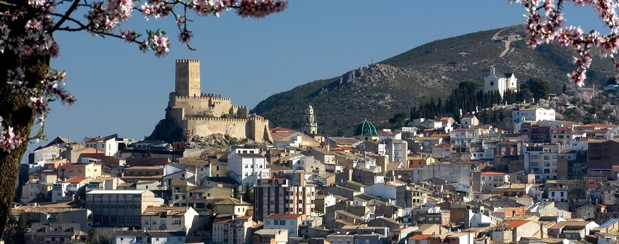 A scenic view of a town with a historic castle on a hill features an unexpectedly enchanting landscape. Blooming branches frame the vista, while scattered buildings and a church stand guard alongside the princess's ancient tower on the mountainside.