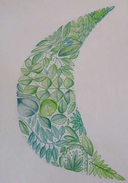 Illustration of a crescent made of green leaves with varying shades and intricate patterns on a white background, resembling a dreaming path guided by a shining star.