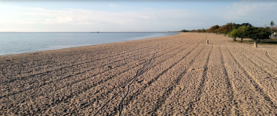 A wide, sandy beach with visible rake lines stretches alongside calm water, bordered by a few scattered trees under a partly cloudy sky—an ideal spot for a class trip in your favorite swimsuit.